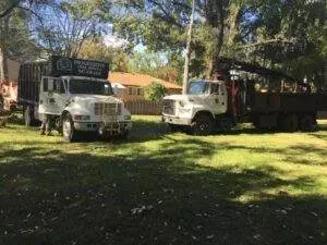 tree care trucks