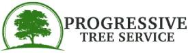 Tree Service Near Evanston & Chicago | Progressive Tree Service